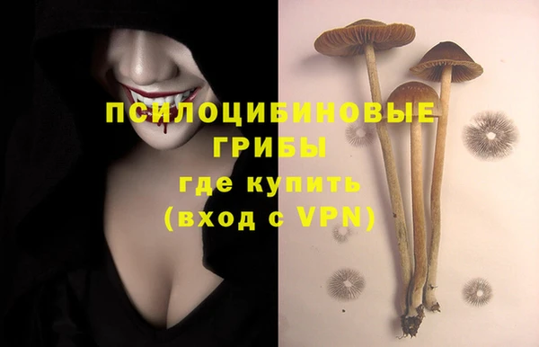 амф Аркадак