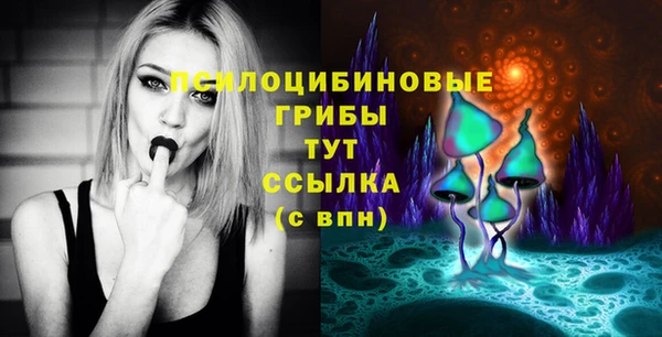 мяу мяу кристалл Арсеньев