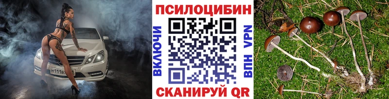 закладка  Светлоград  Галлюциногенные грибы мицелий 