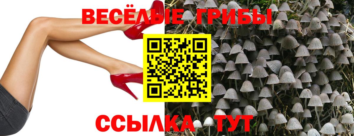 Светлоград  Галлюциногенные грибы ЛСД  Вход с VPN  Галлюциногенные грибы Cubensis 